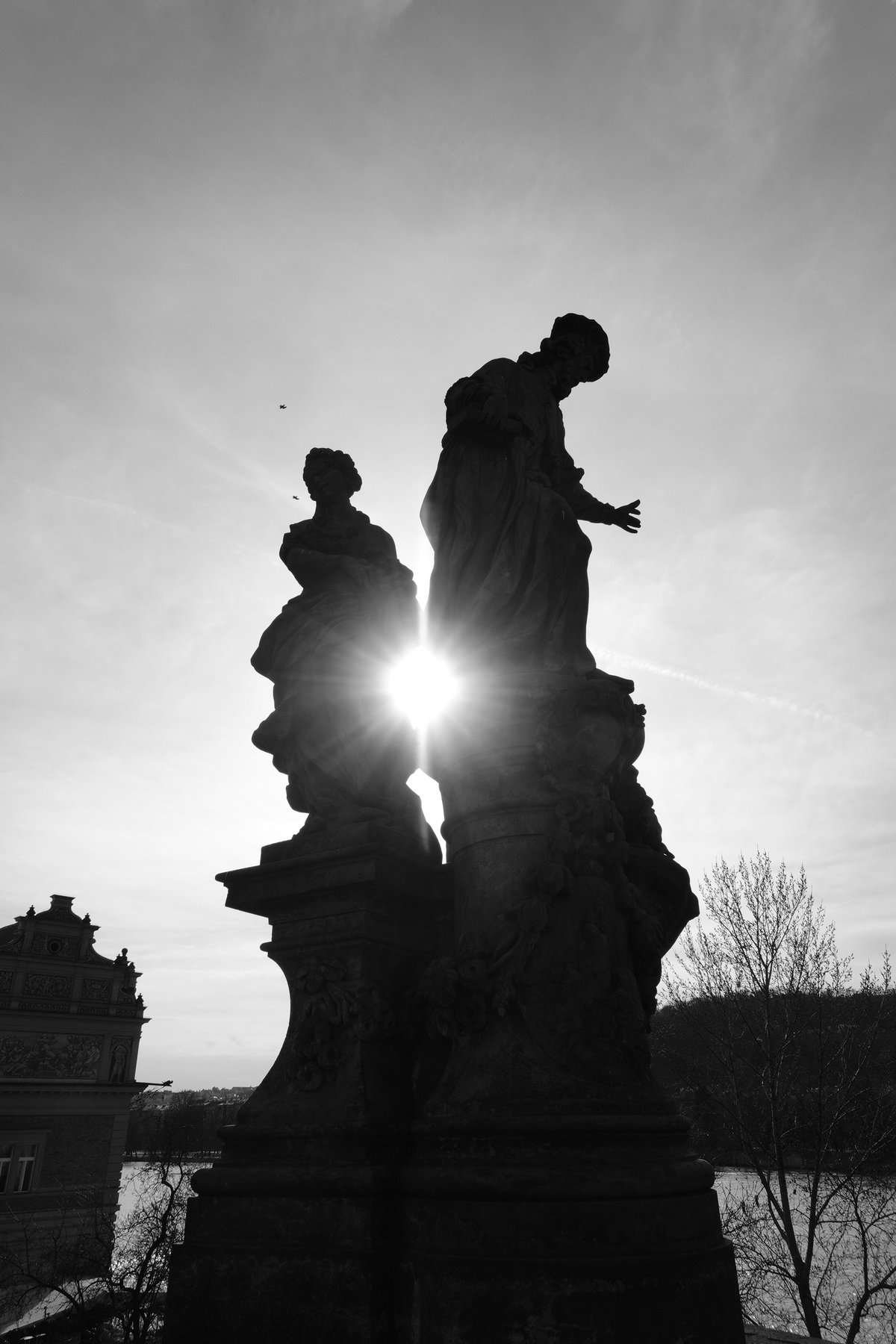 Black and white silhouette photo with sun flare